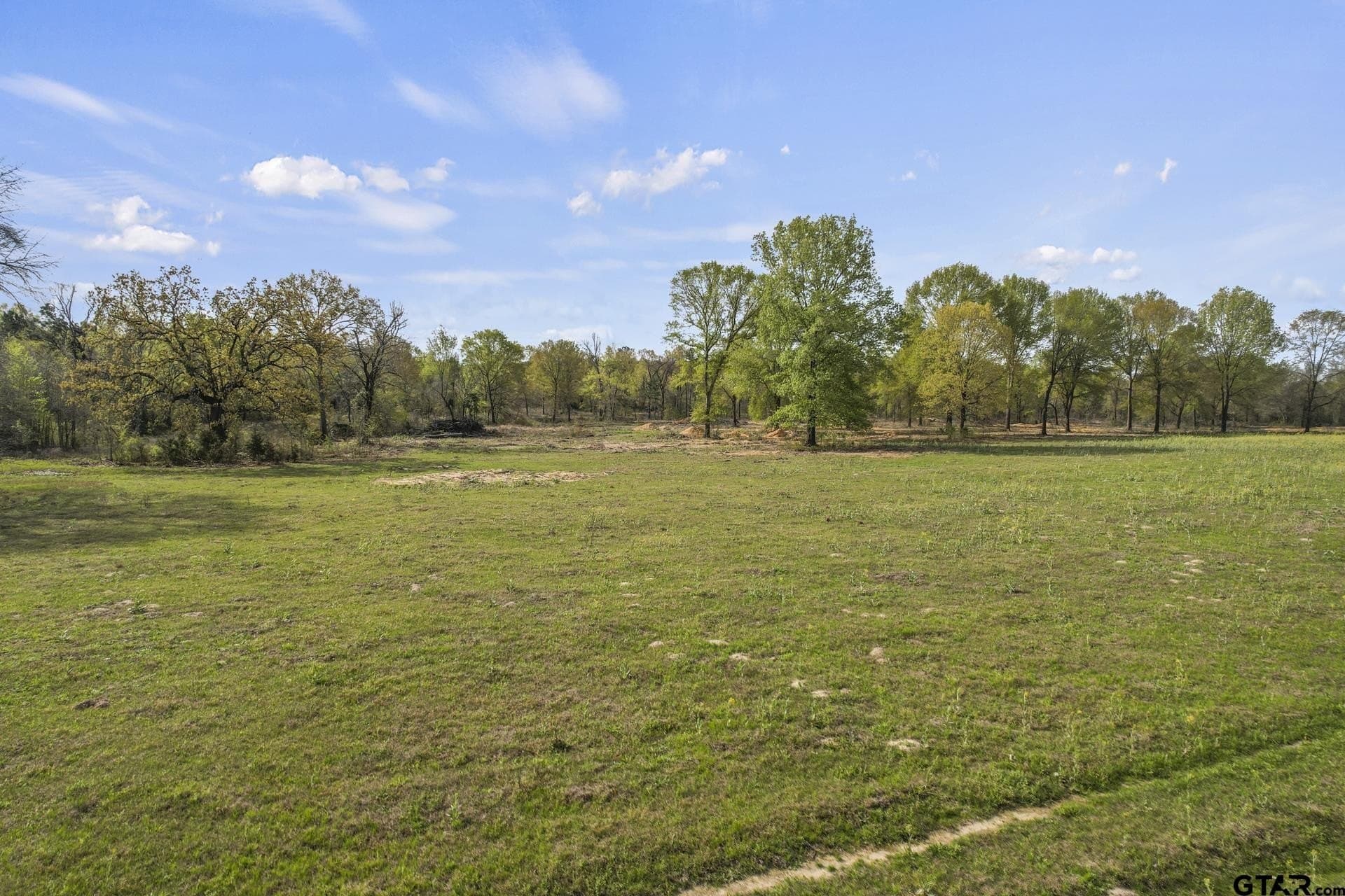 44.47 acres in Titus County - photo 6