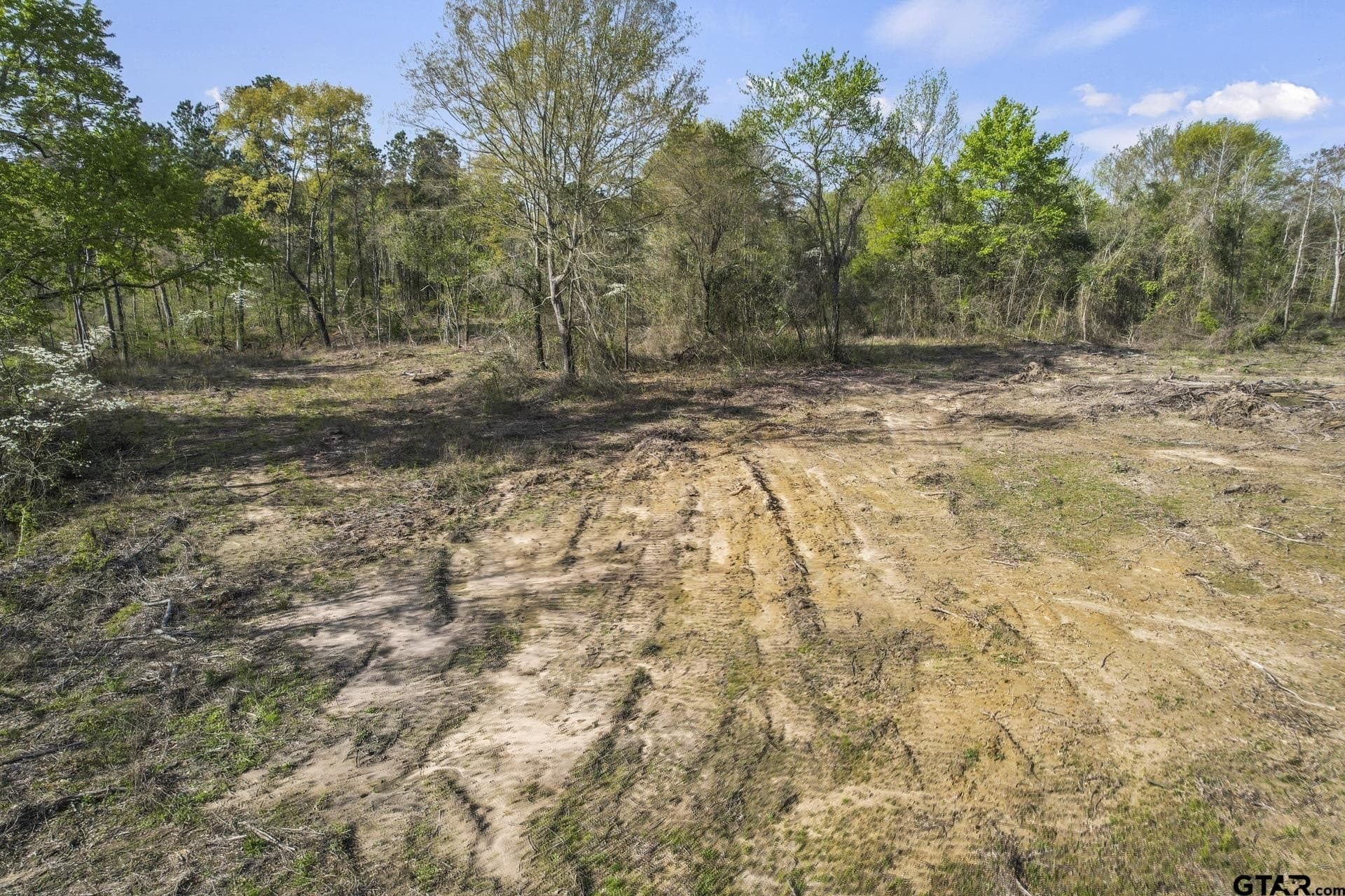 44.47 acres in Titus County - photo 14