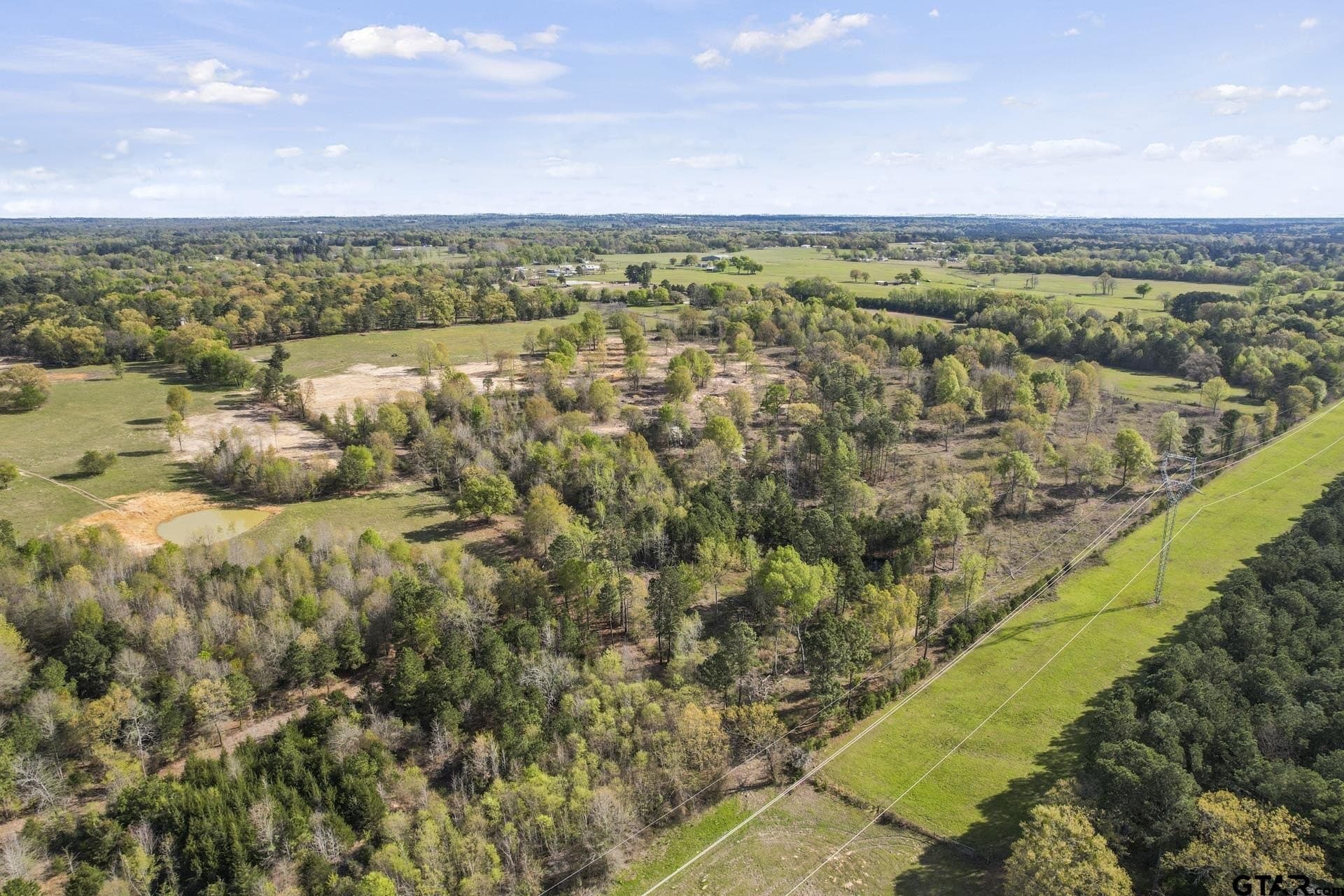 44.47 acres in Titus County - photo 16