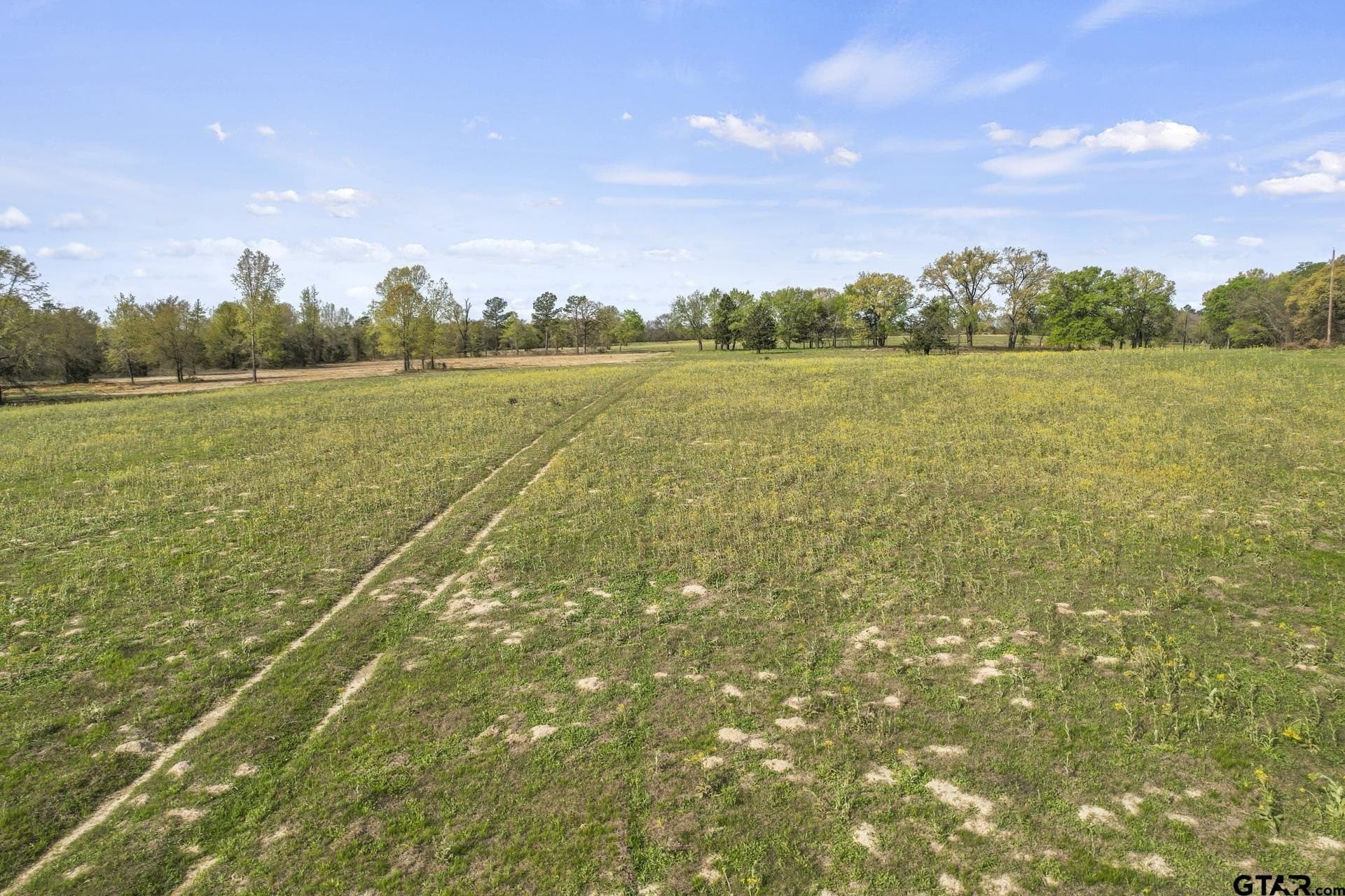44.47 acres in Titus County - photo 7