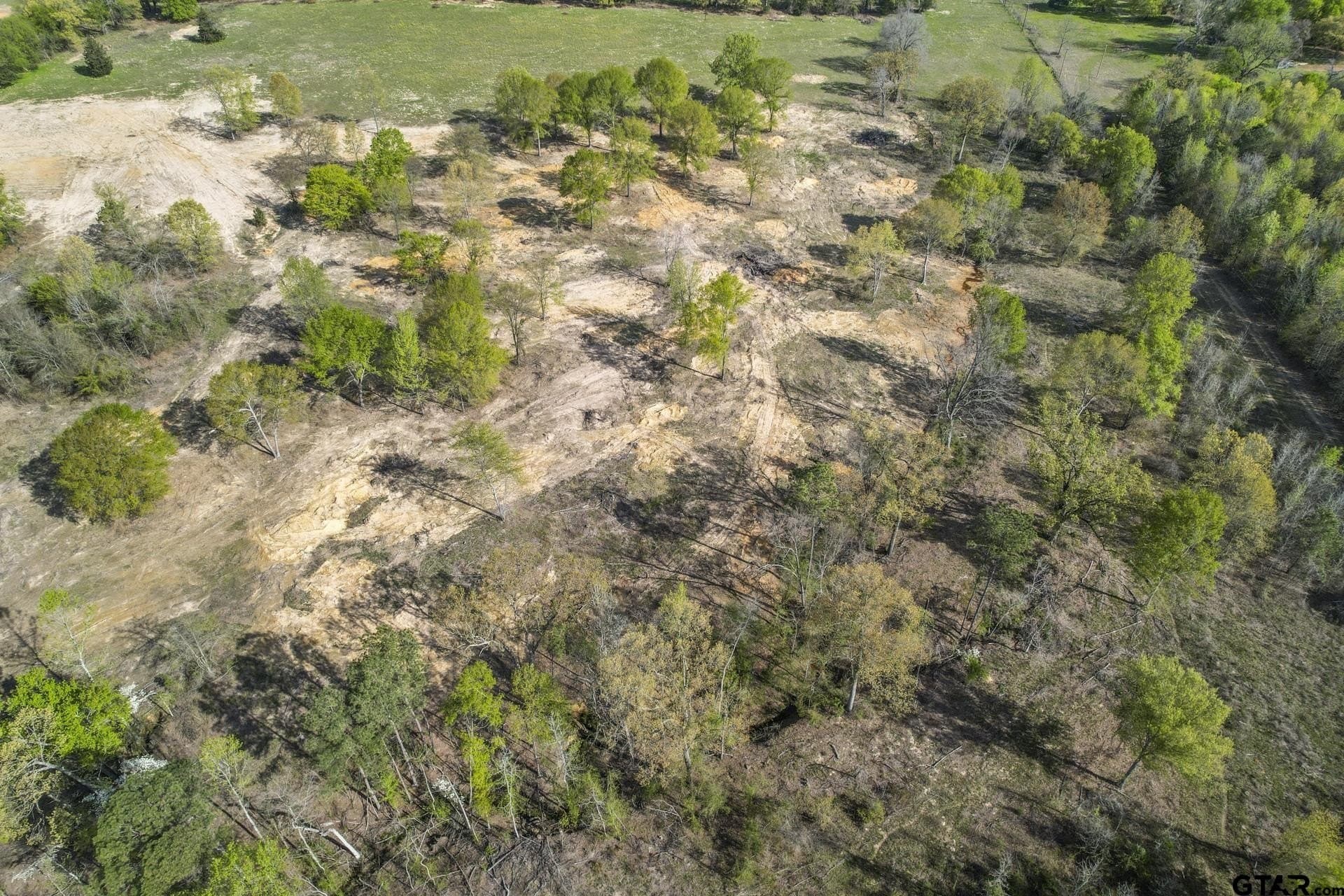 44.47 acres in Titus County - photo 11