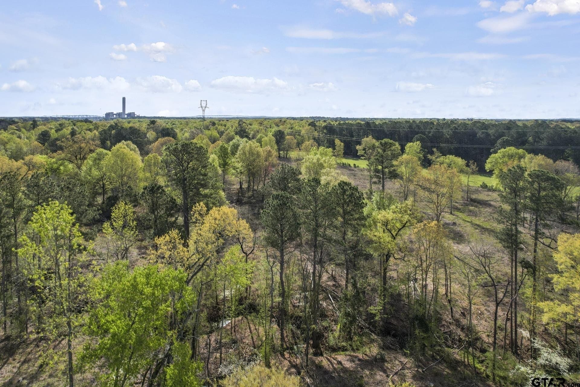 44.47 acres in Titus County - photo 15