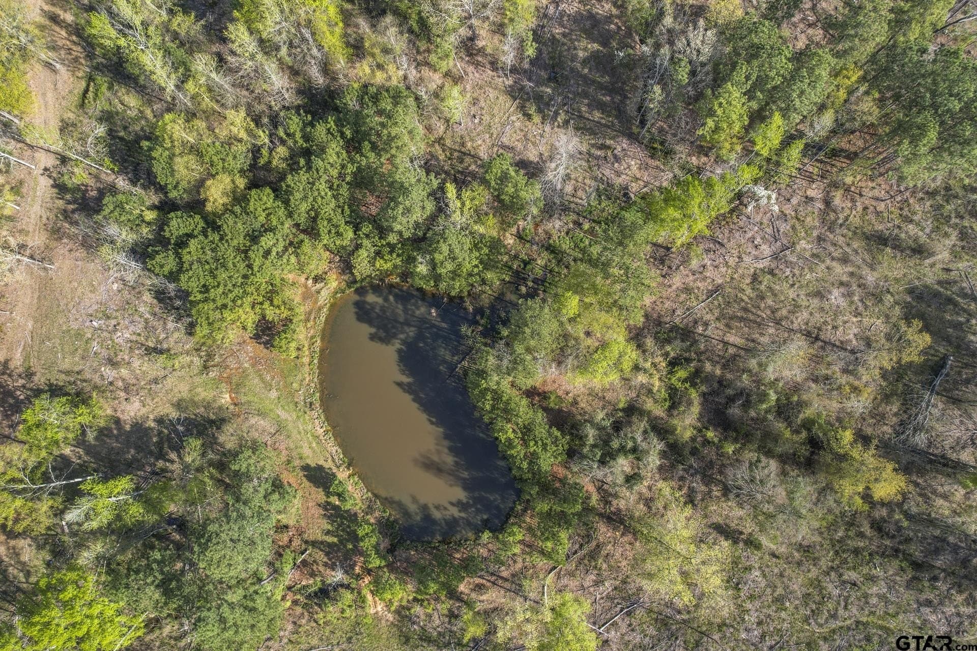 44.47 acres in Titus County - photo 13