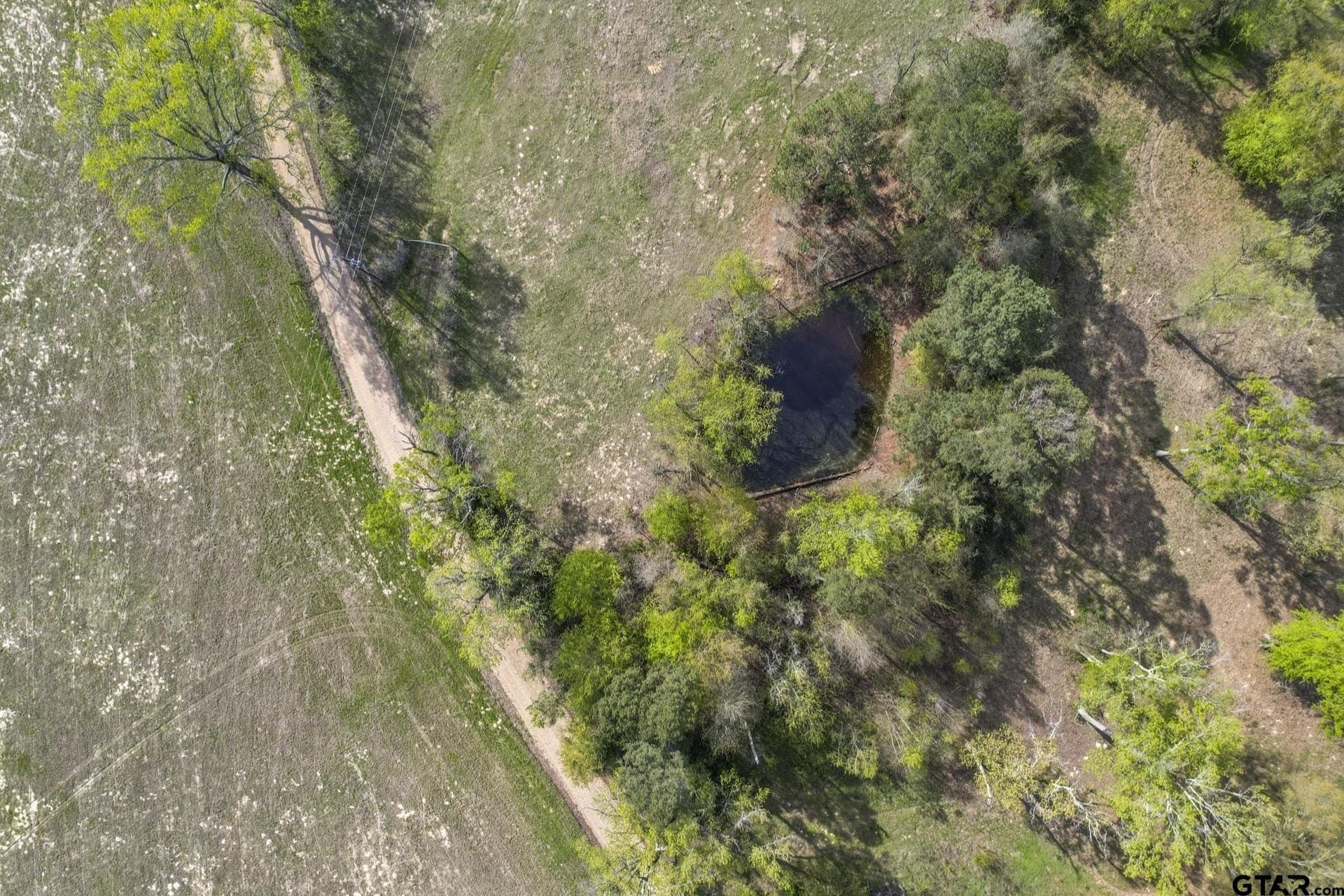 44.47 acres in Titus County - photo 8