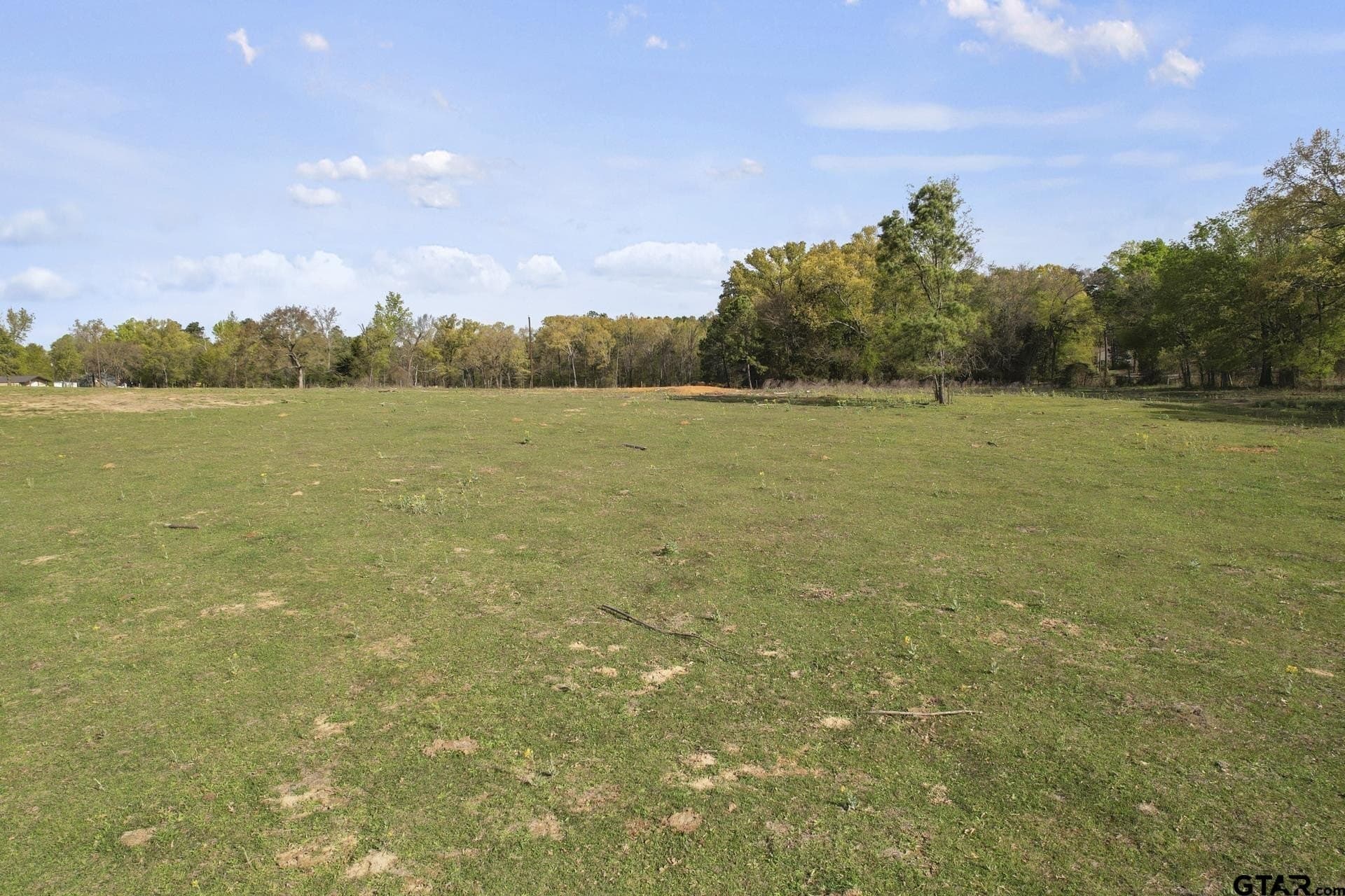 44.47 acres in Titus County - photo 12