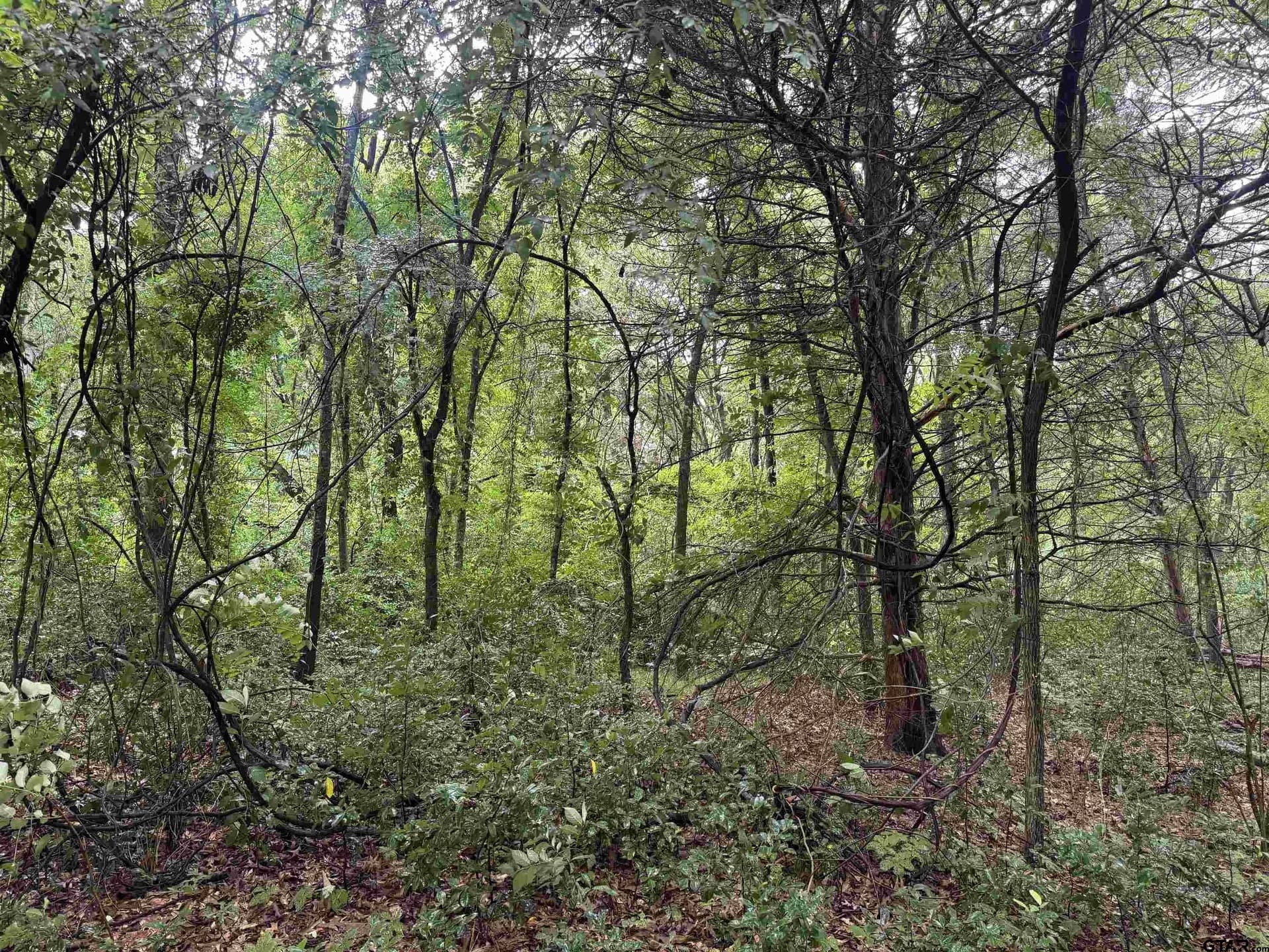 5 acres in Smith County - photo 7