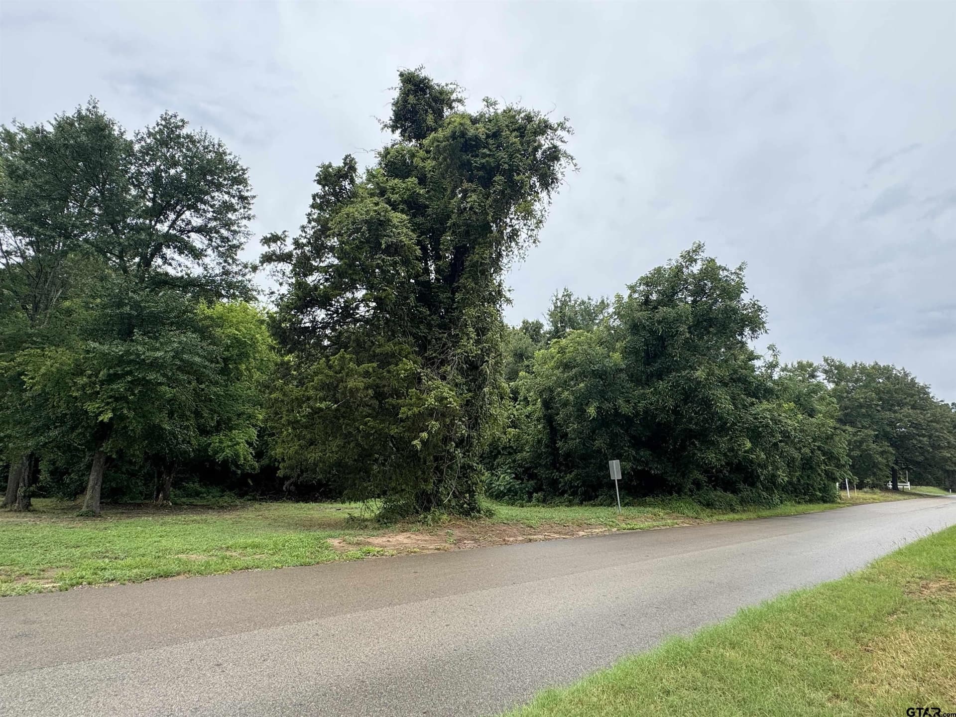 5 acres in Smith County gallery image 3