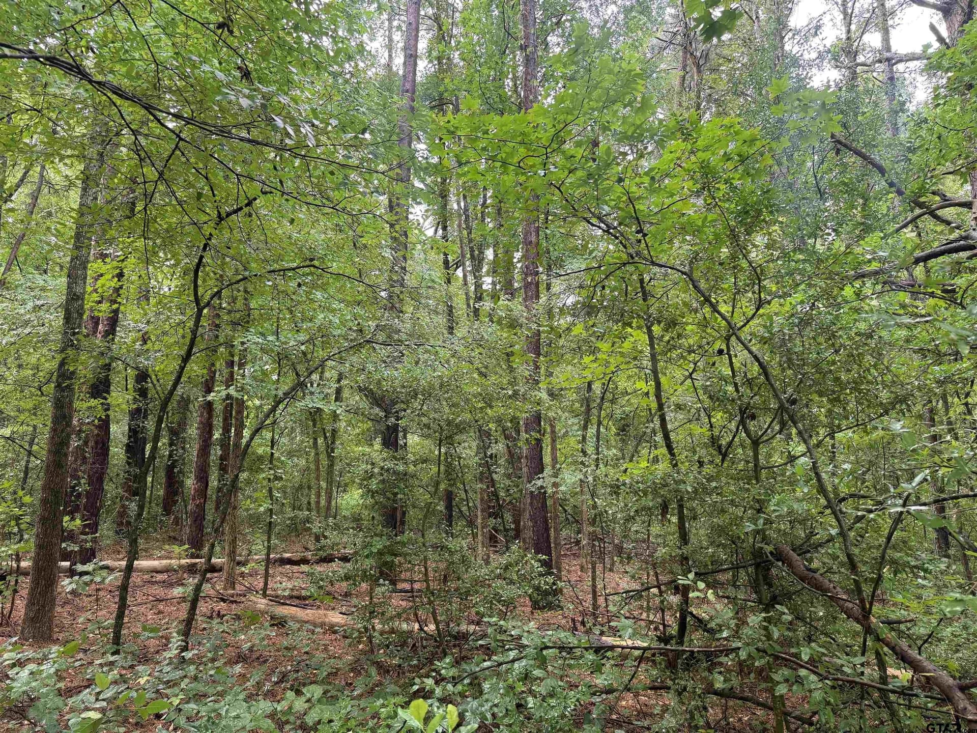 5 acres in Smith County - photo 8