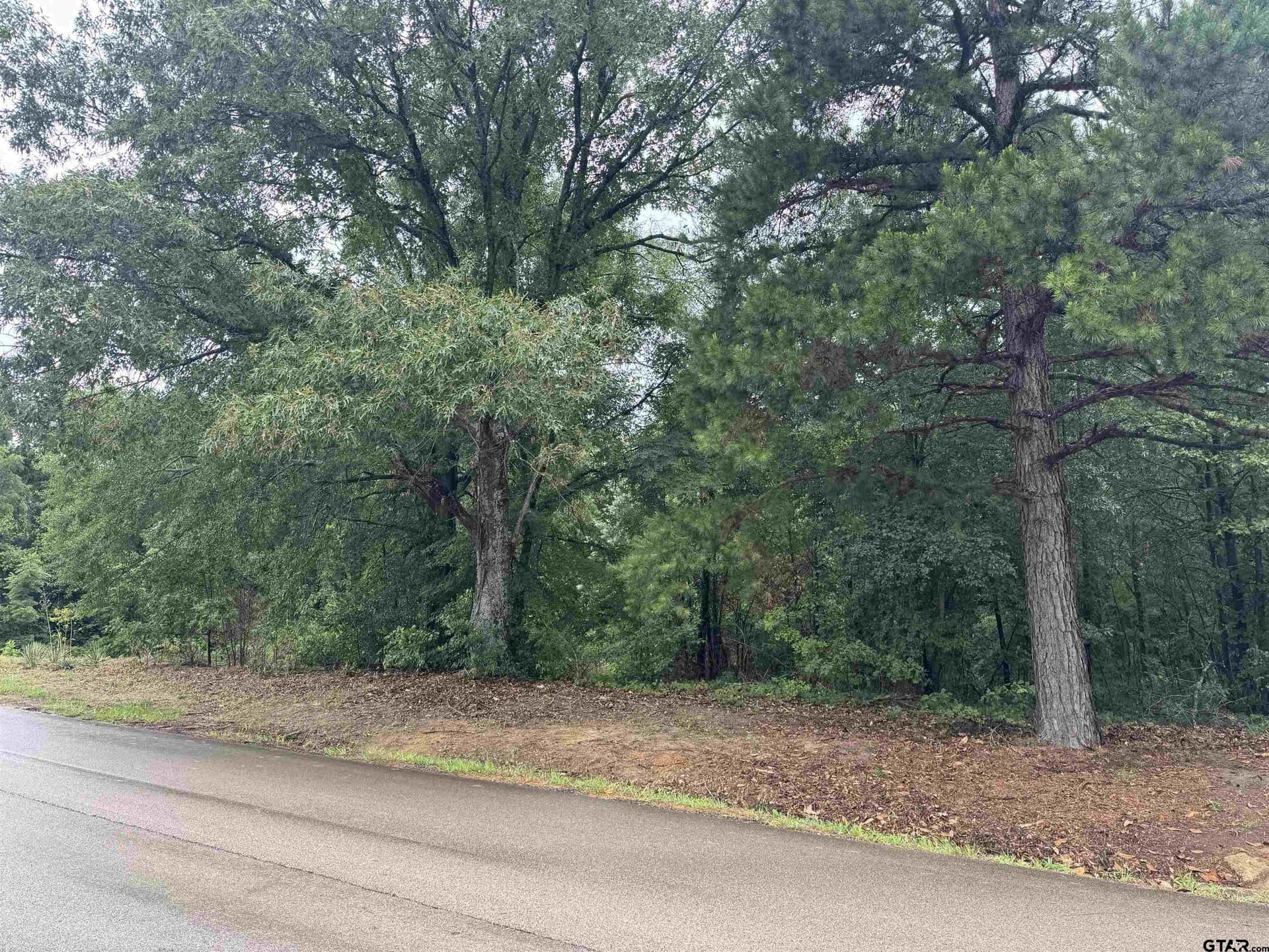 5 acres in Smith County gallery image 2