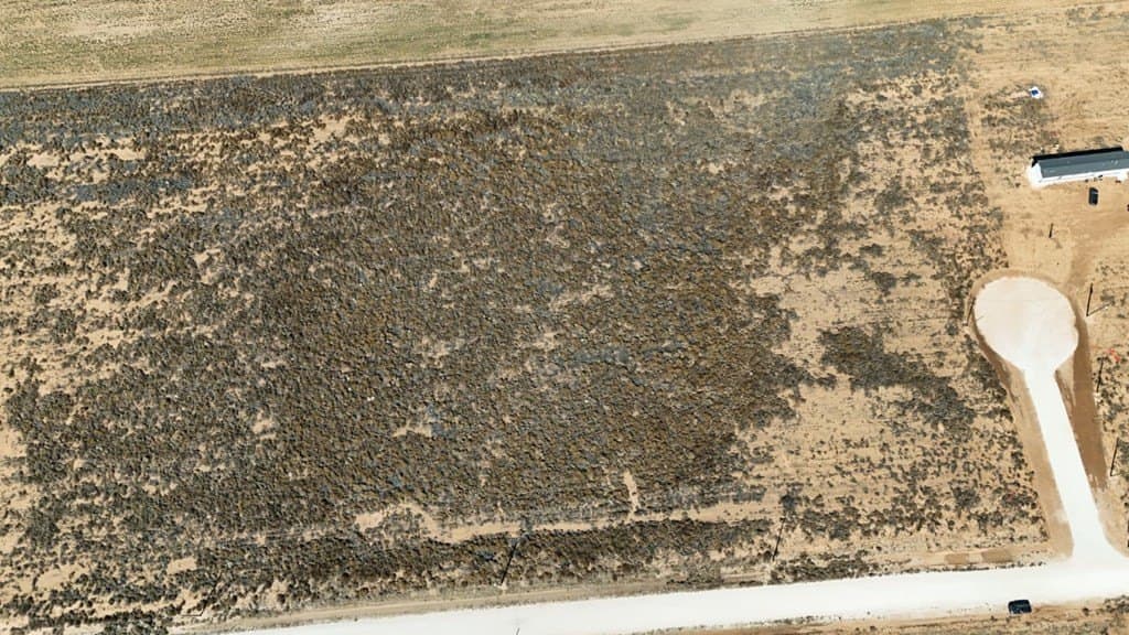 5 acres in Midland County - photo 8
