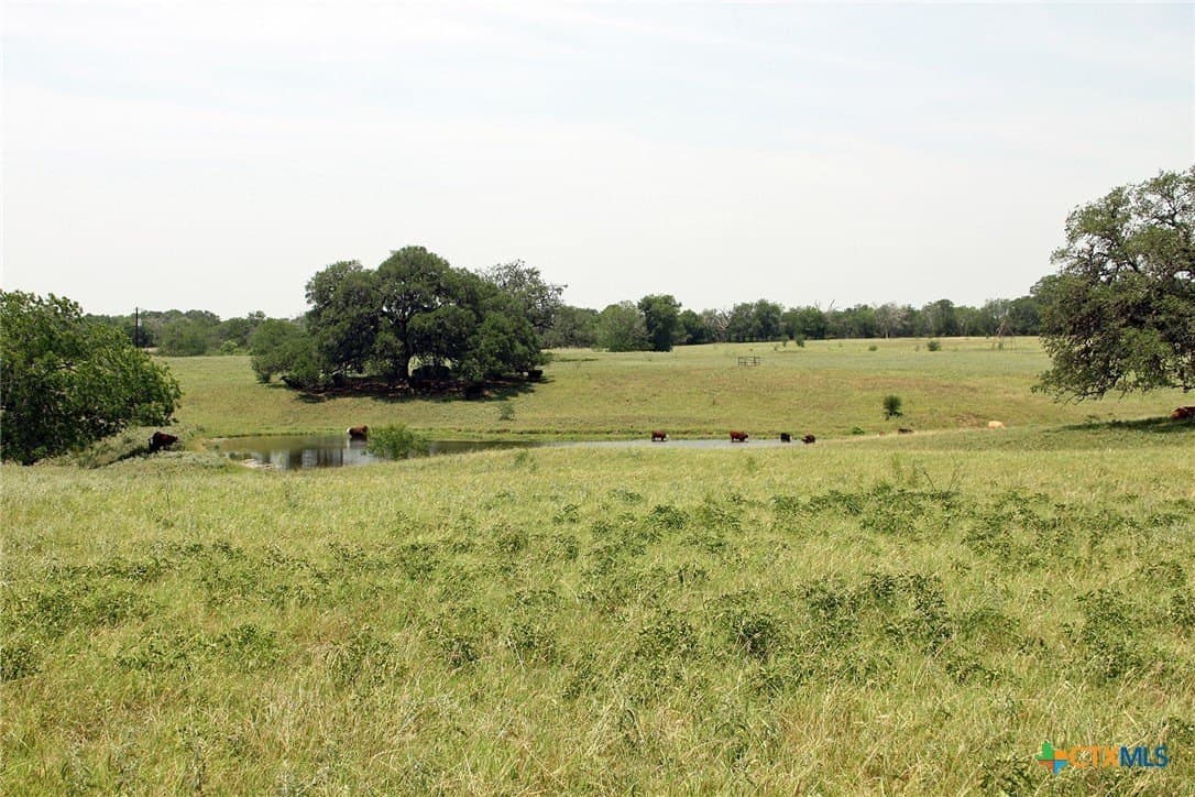 73.18 acres in Caldwell County - photo 6