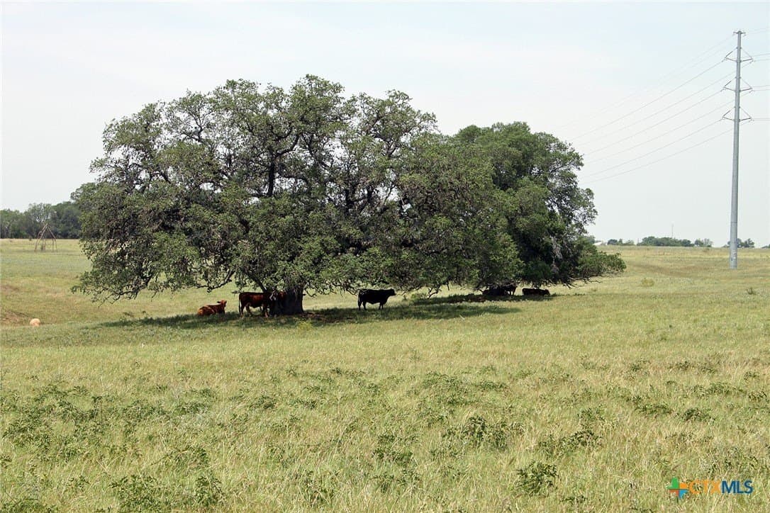 73.18 acres in Caldwell County - photo 7