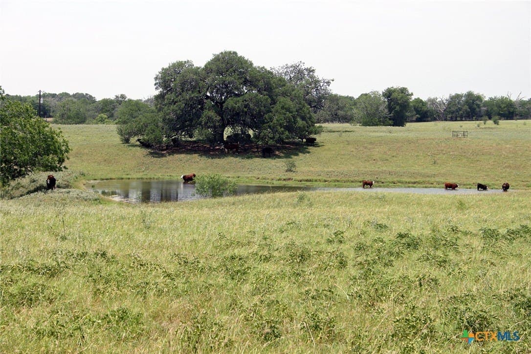 73.18 acres in Caldwell County