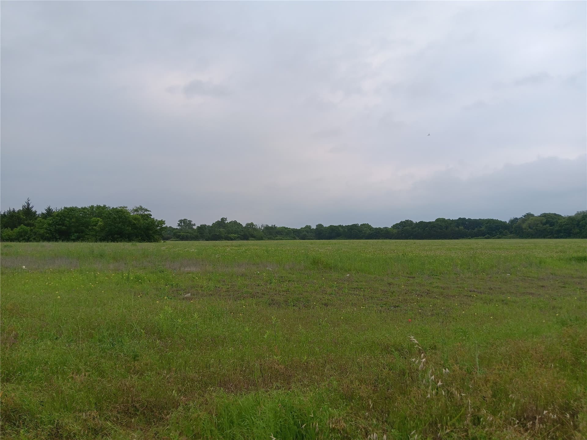 20.62 acres in Dallas County