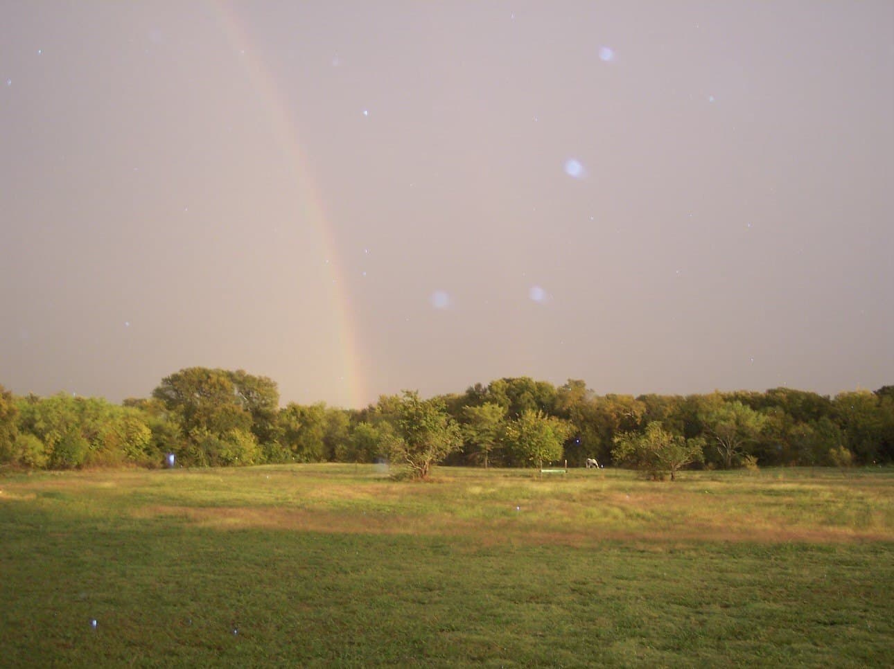 6.14 acres in Rockwall County - photo 16