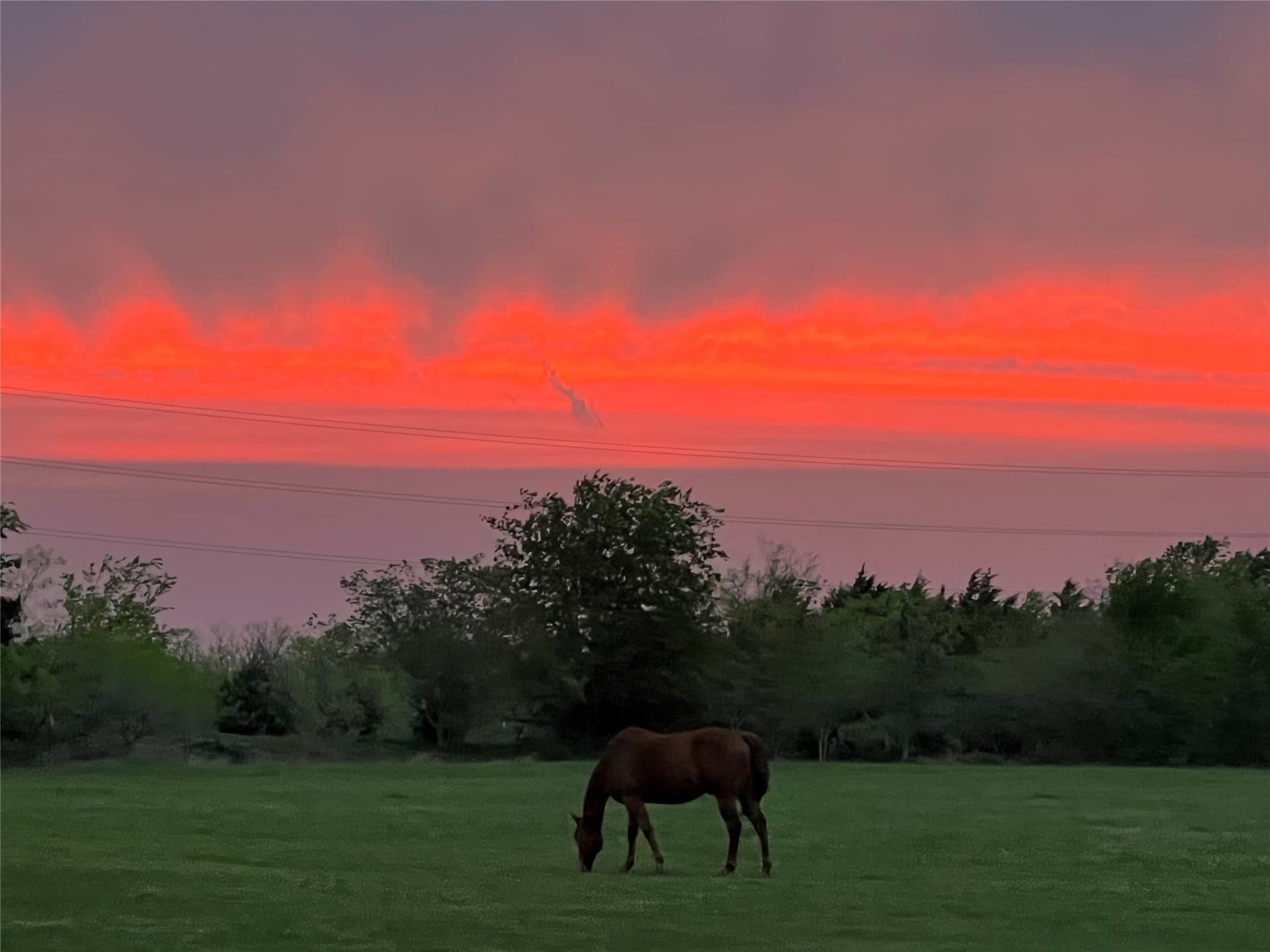 6.14 acres in Rockwall County - photo 14