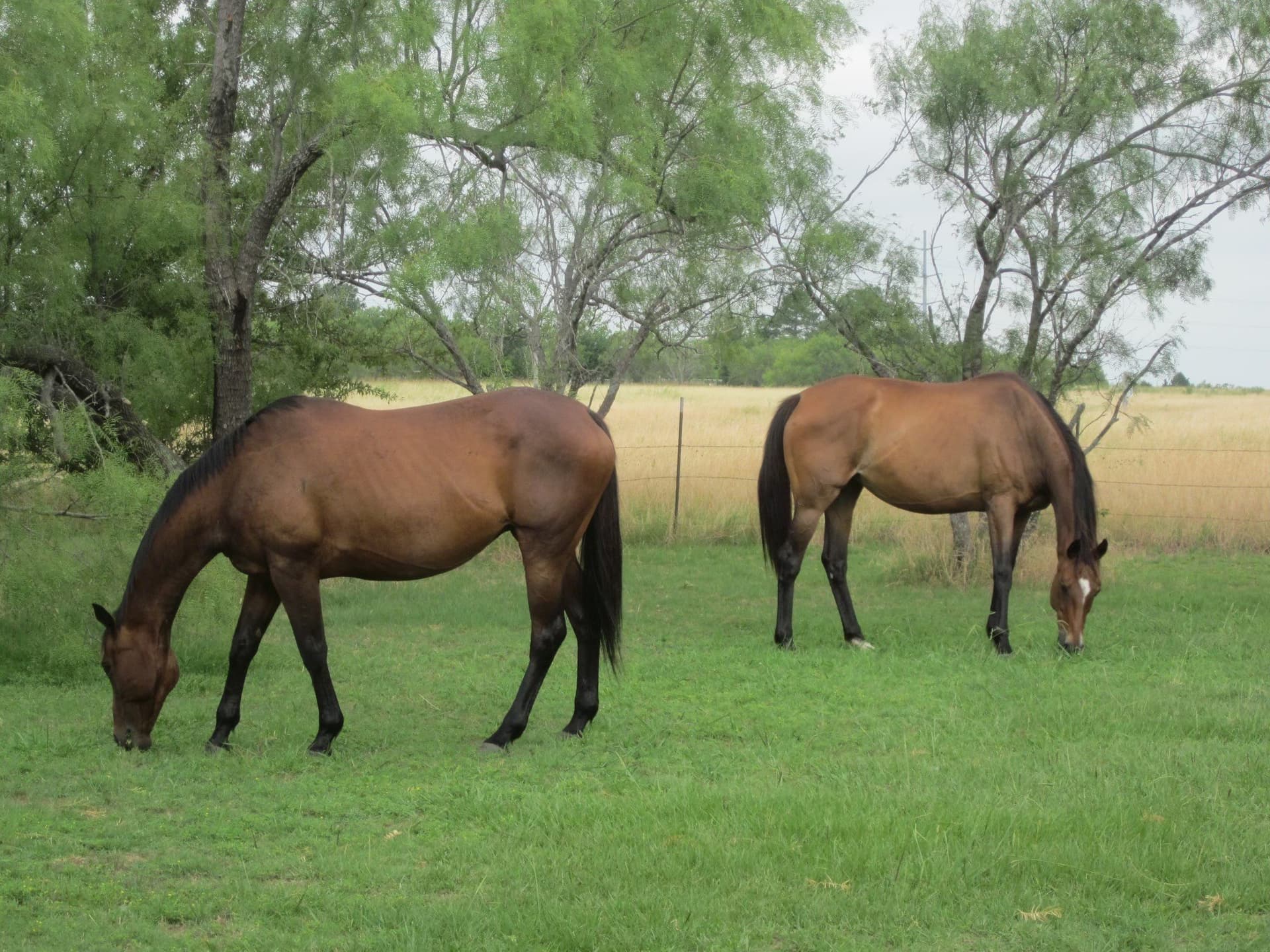 6.14 acres in Rockwall County - photo 15