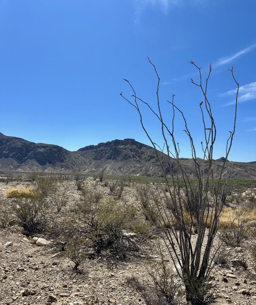 1.41 acres in Brewster County - photo 15
