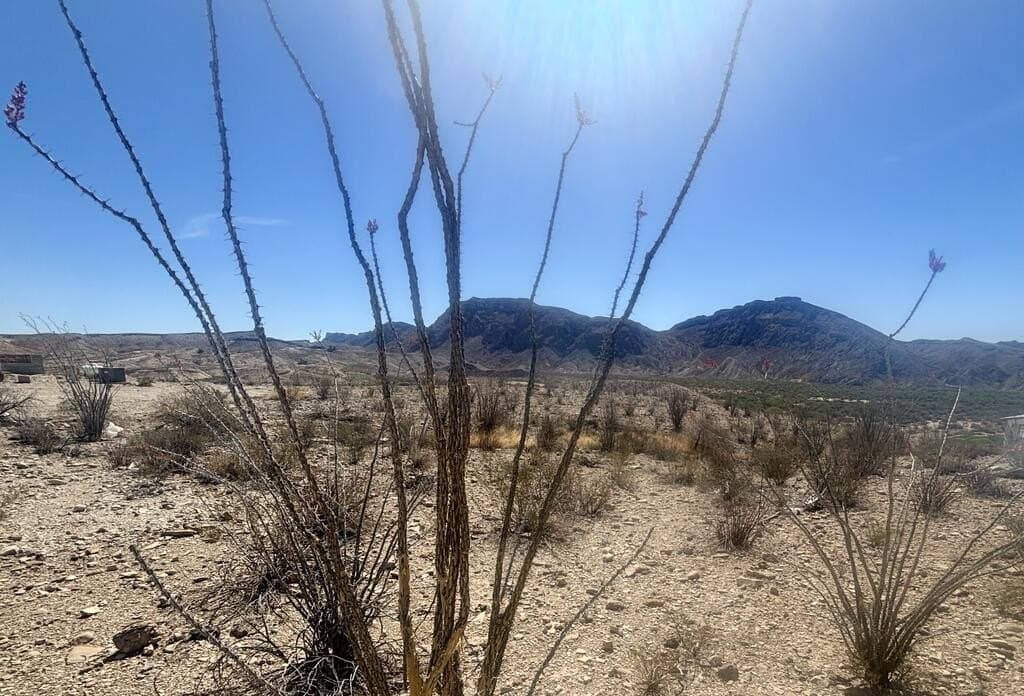 1.41 acres in Brewster County - photo 16