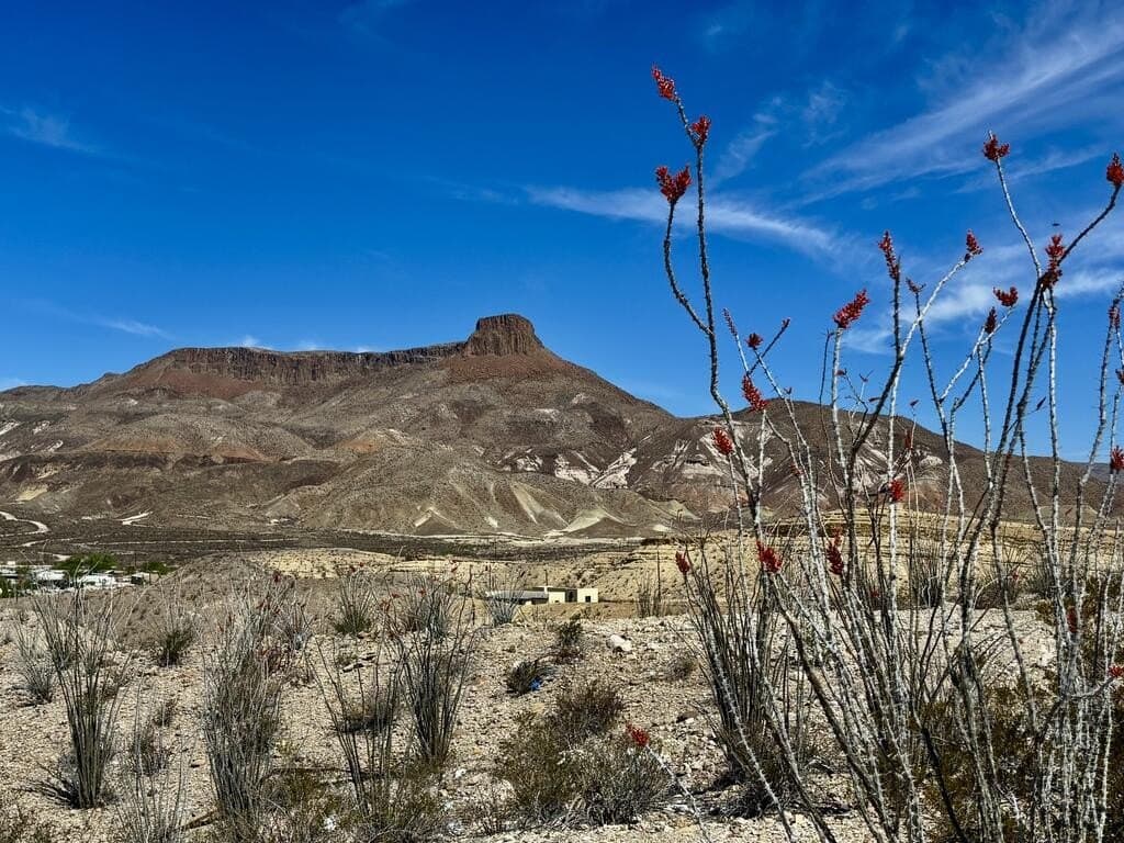 1.41 acres in Brewster County - photo 22