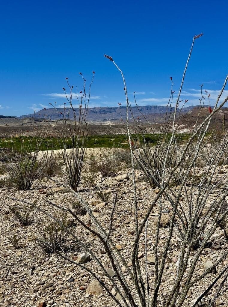 1.41 acres in Brewster County - photo 6