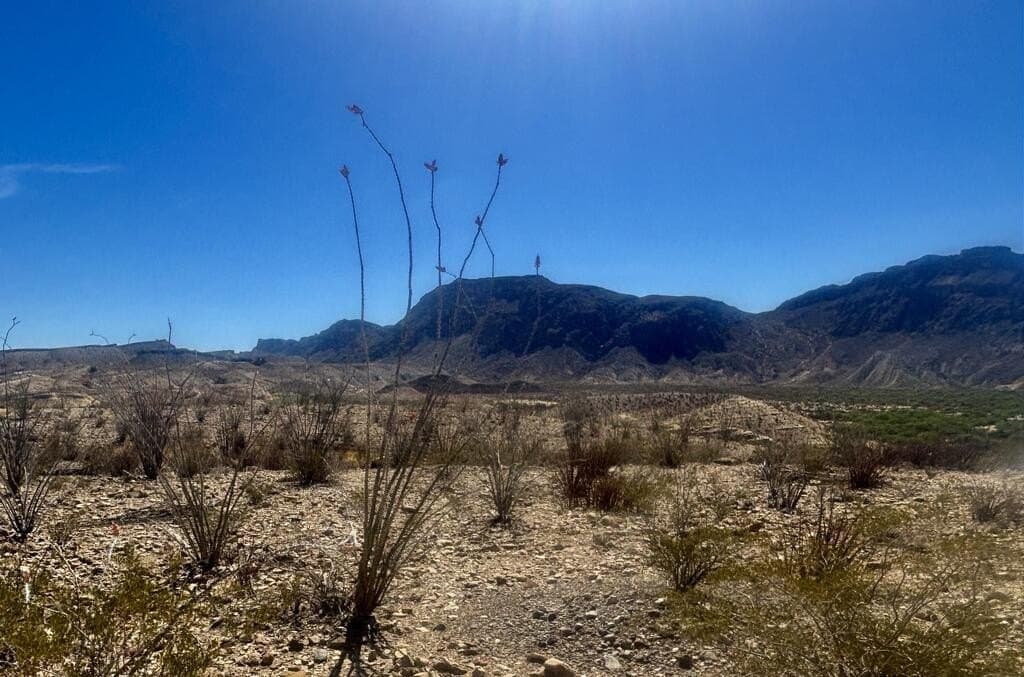 1.41 acres in Brewster County - photo 11