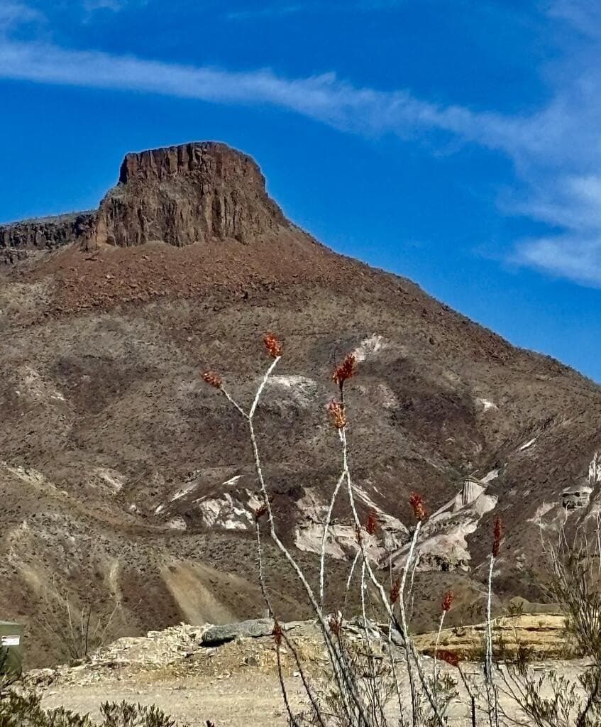 1.41 acres in Brewster County