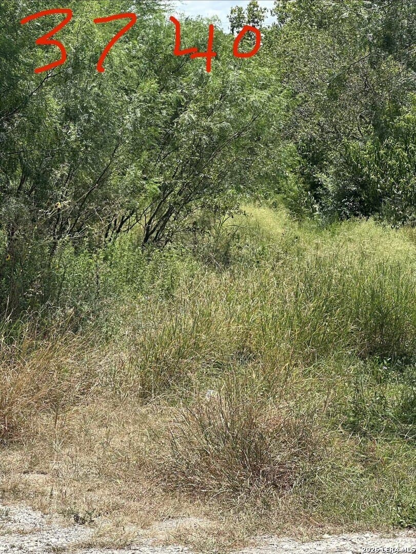0.22 acres in Bexar County - photo 9