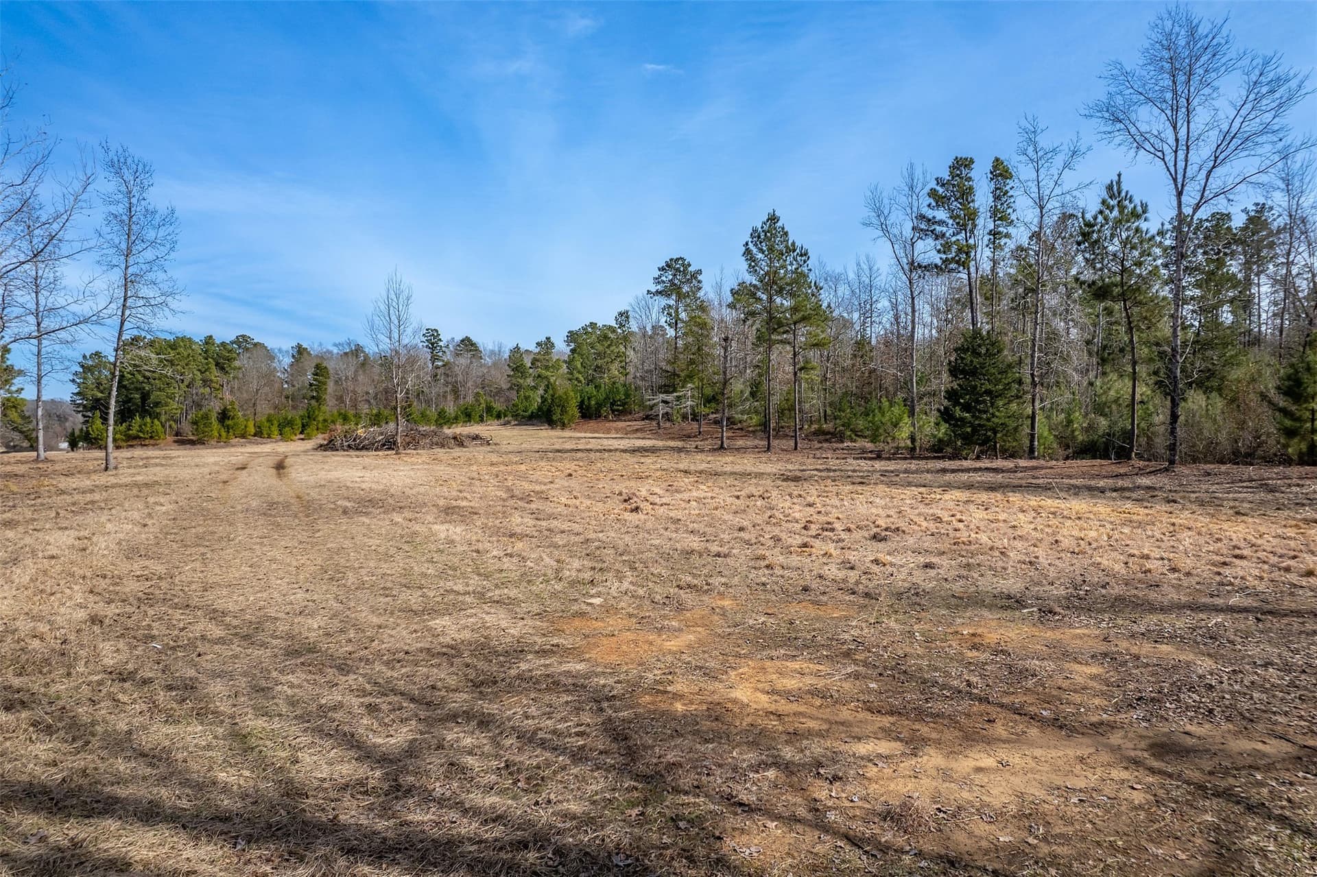 27.67 acres in Anderson County - photo 8