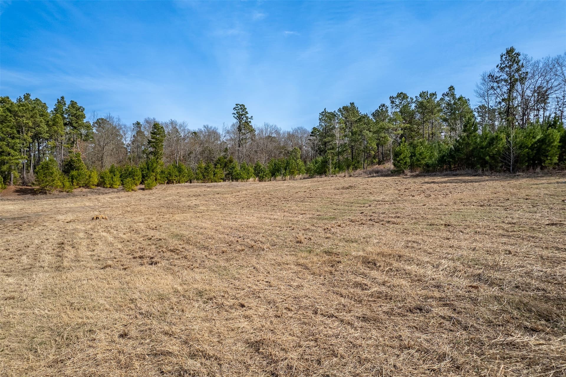 27.67 acres in Anderson County - photo 9