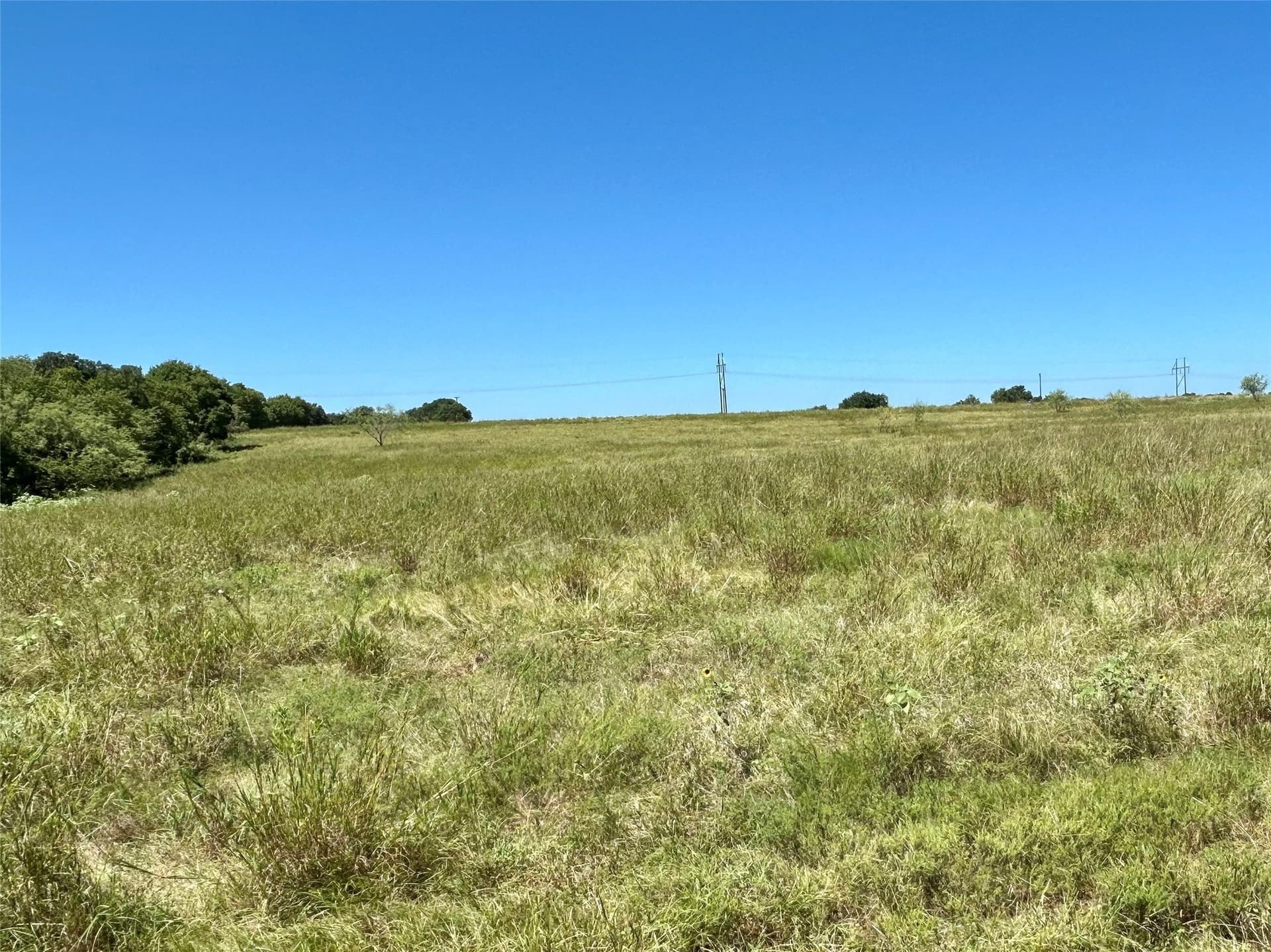 5.61 acres in Ellis County gallery image 4