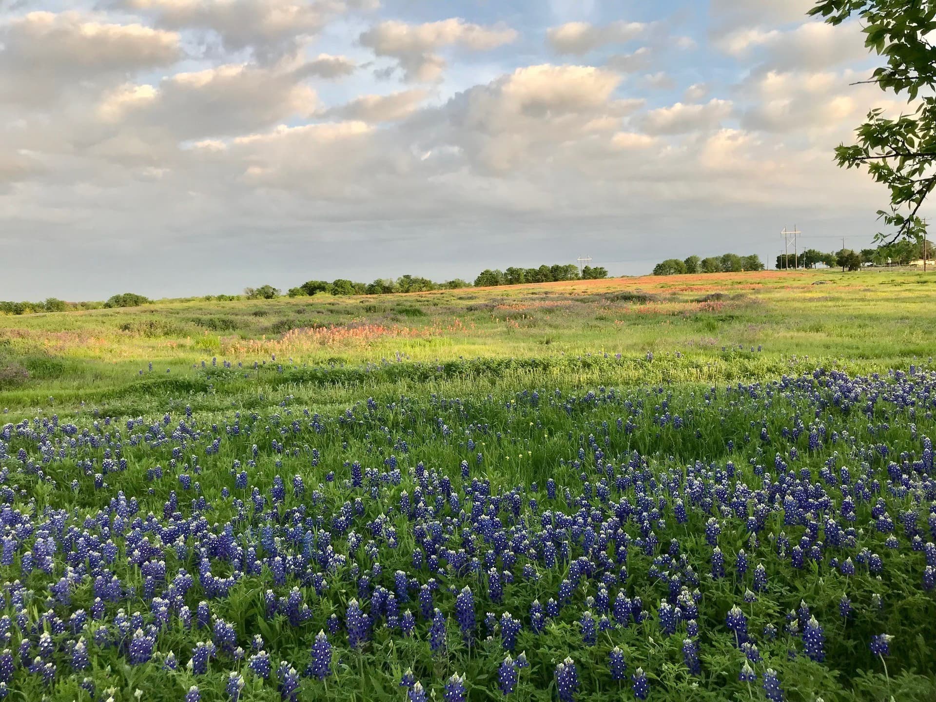 5.61 acres in Ellis County - photo 7