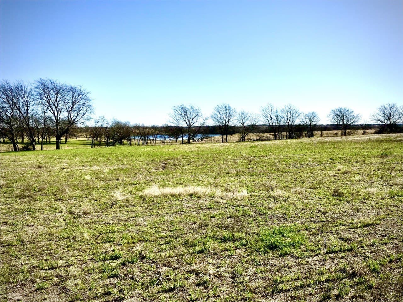 5.61 acres in Ellis County gallery image 2