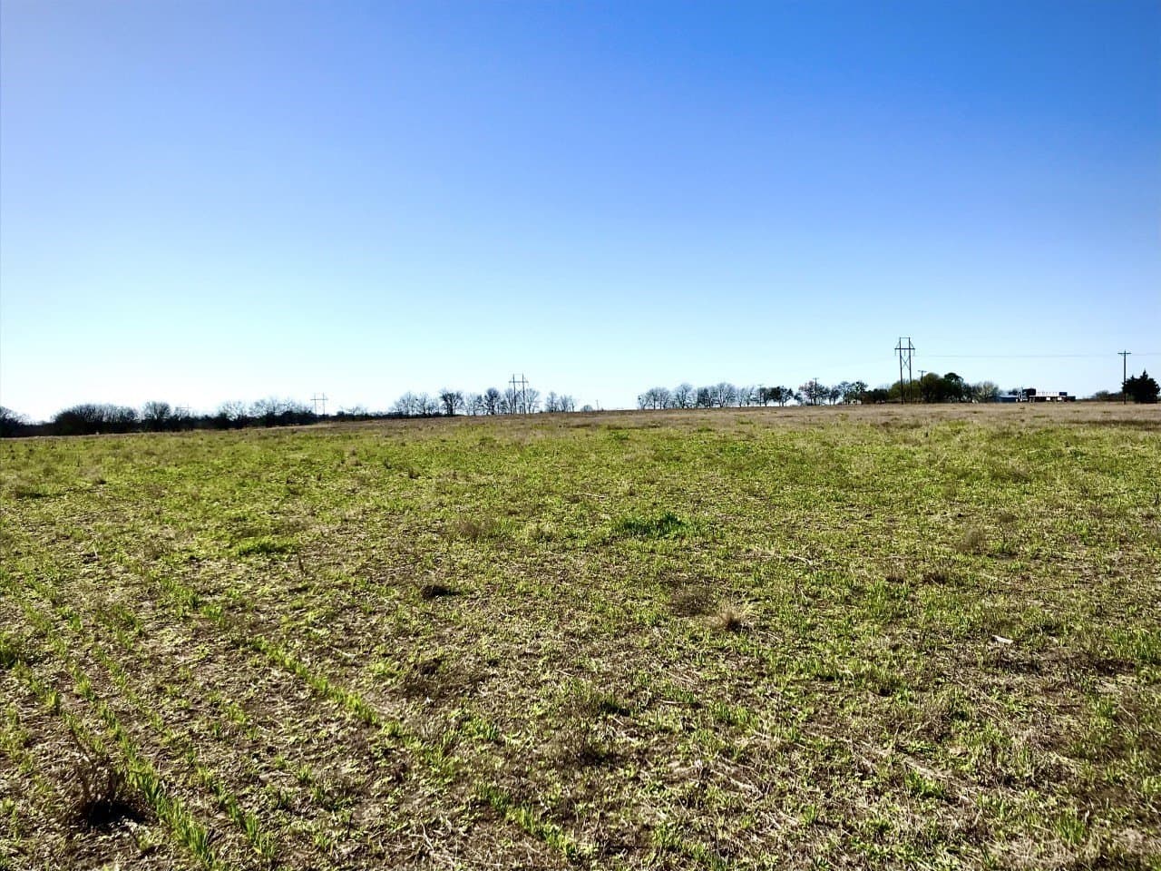 5.61 acres in Ellis County gallery image 3