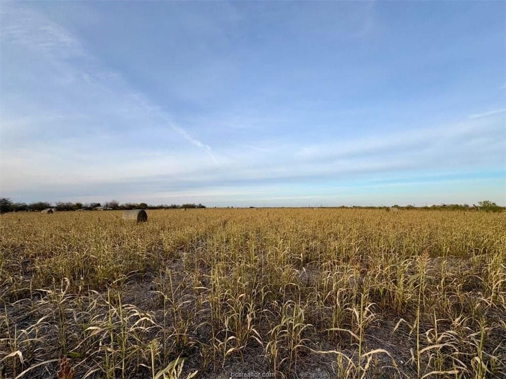 11.88 acres in Milam County