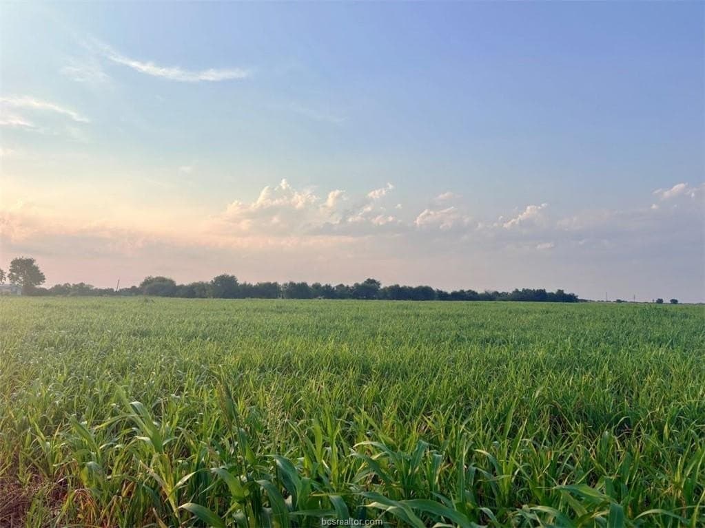 11.88 acres in Milam County - photo 3
