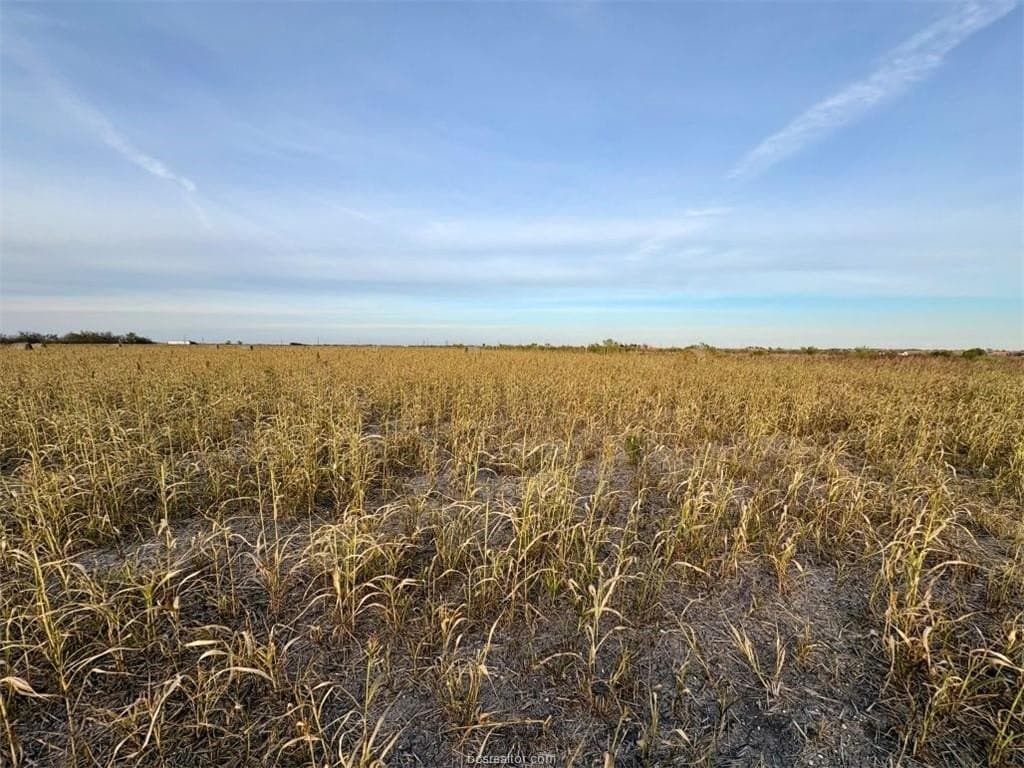 11.88 acres in Milam County gallery image 2