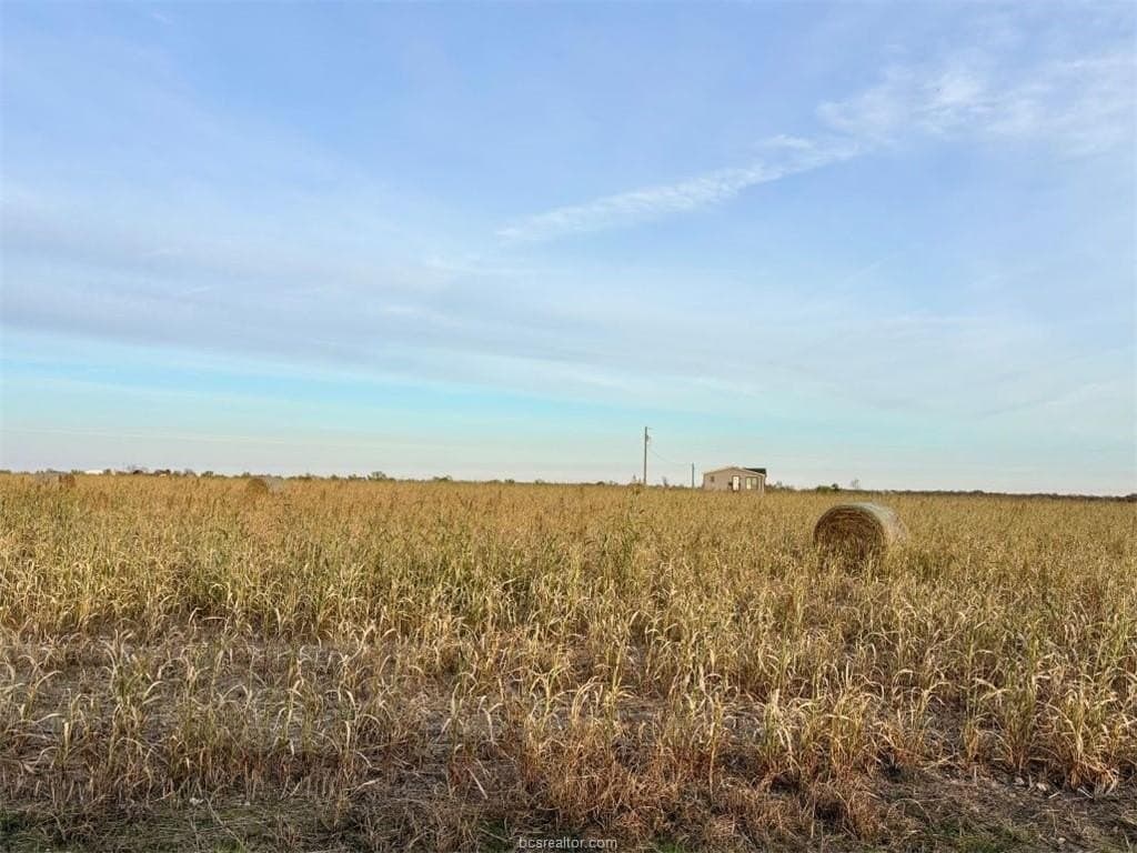 11.88 acres in Milam County gallery image 3