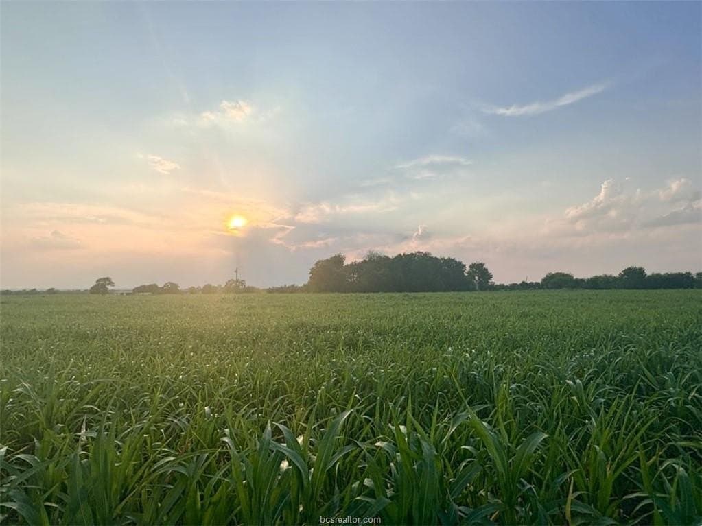 11.88 acres in Milam County - photo 2