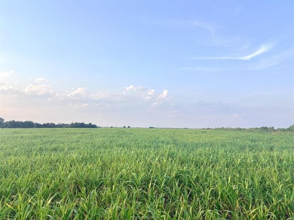 11.88 acres in Milam County - photo 4