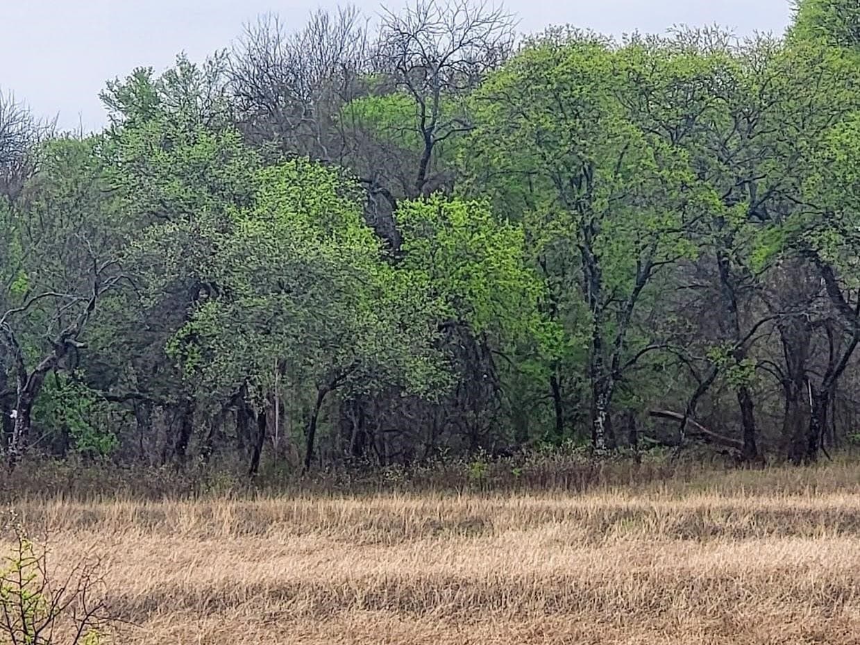 2.14 acres in Hill County gallery image 3