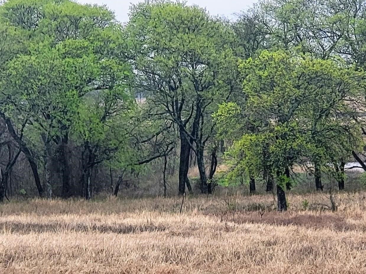 2.14 acres in Hill County gallery image 4