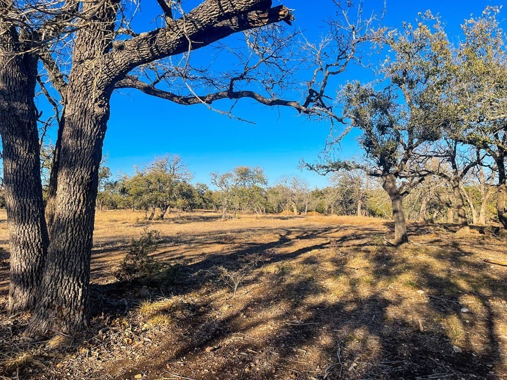 10.5 acres in Kerr County gallery image 3