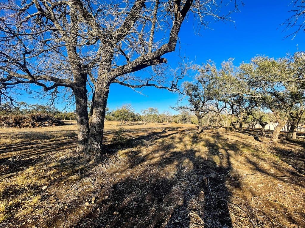 10.5 acres in Kerr County gallery image 4