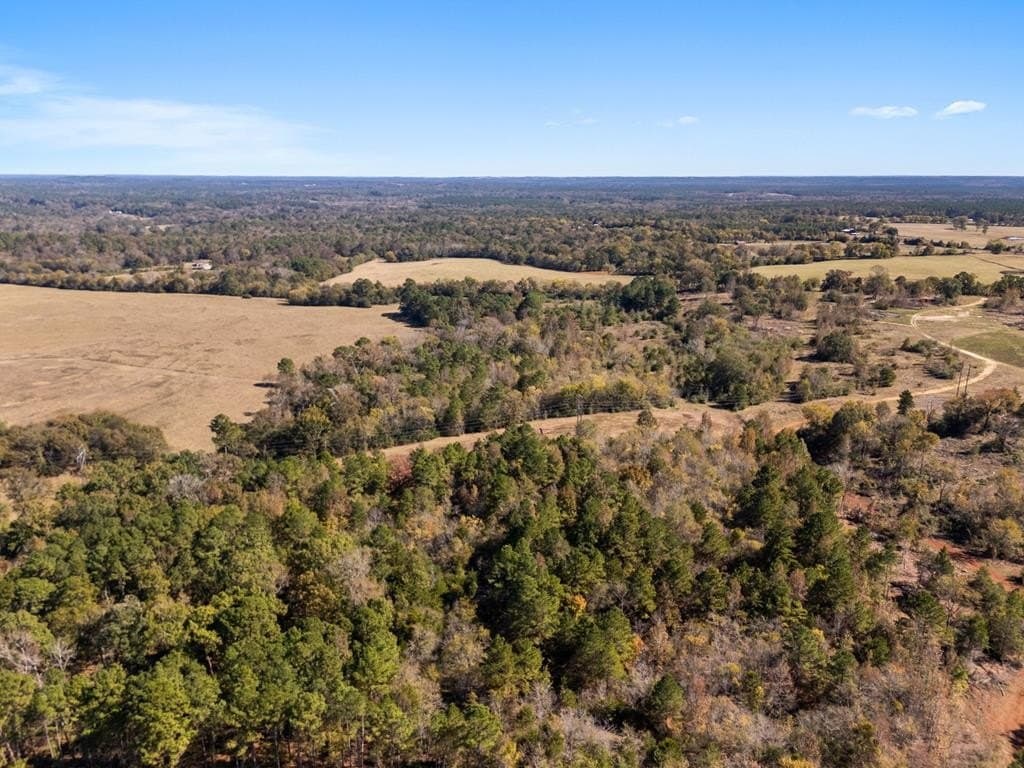 23 acres in Texas County featured view