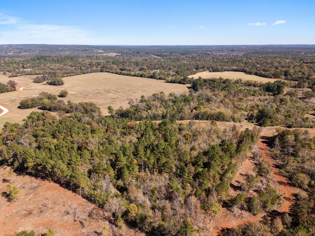 23 acres in Texas County gallery image 4