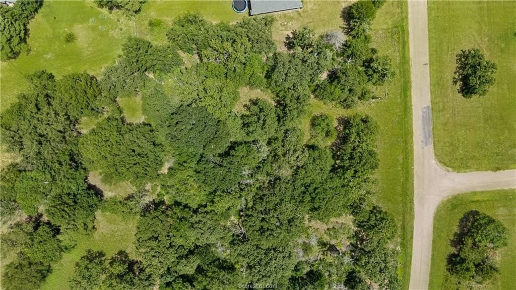 1.05 acres in Grimes County - photo 9