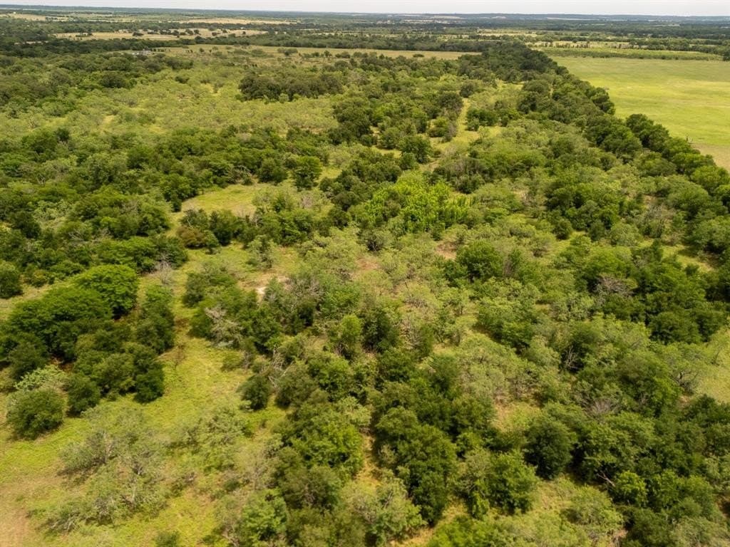 10.01 acres in Falls County gallery image 4