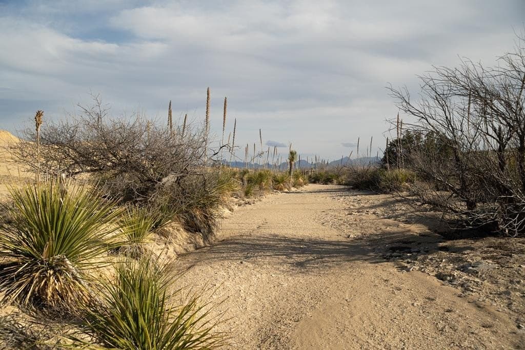 640 acres in Brewster County - photo 13