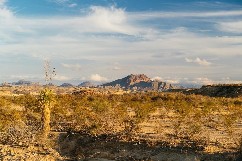 640 acres in Brewster County - photo 16
